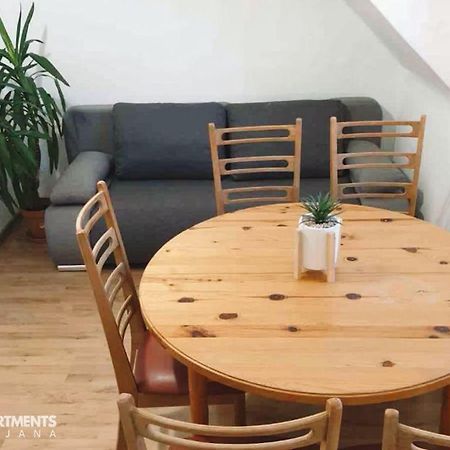Huge BBQ Garden, Spacious Flat, AC, Free Parking 2 Liubliana Exterior foto