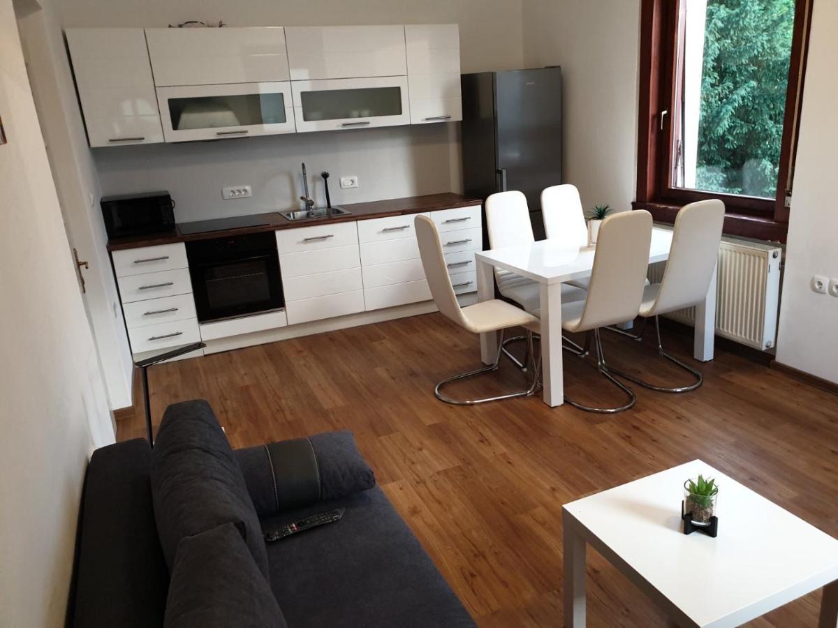 Huge BBQ Garden, Spacious Flat, AC, Free Parking 2 Liubliana Exterior foto