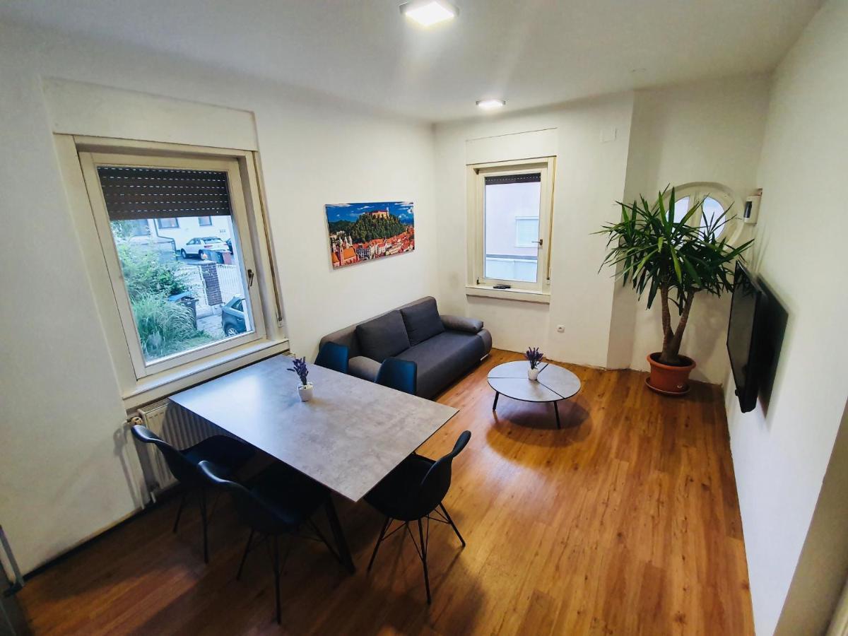 Huge BBQ Garden, Spacious Flat, AC, Free Parking 2 Liubliana Exterior foto
