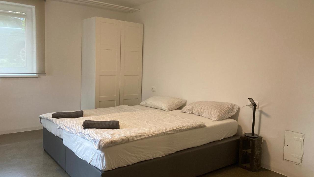 Huge BBQ Garden, Spacious Flat, AC, Free Parking 2 Liubliana Exterior foto