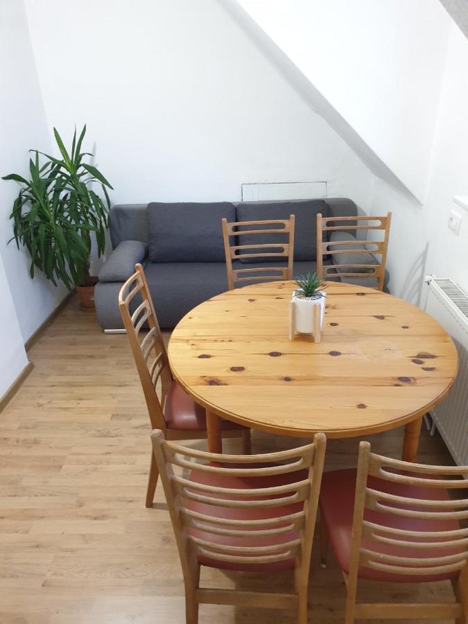 Huge BBQ Garden, Spacious Flat, AC, Free Parking 2 Liubliana Exterior foto