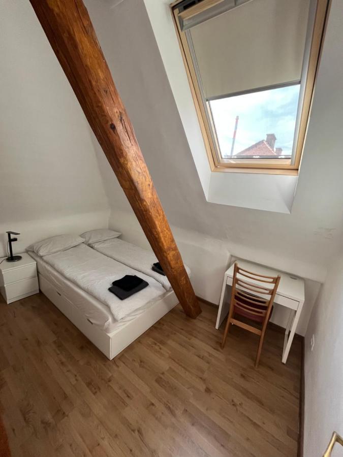 Huge BBQ Garden, Spacious Flat, AC, Free Parking 2 Liubliana Exterior foto