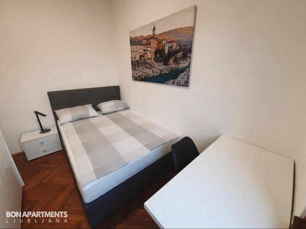 Huge BBQ Garden, Spacious Flat, AC, Free Parking 2 Liubliana Exterior foto