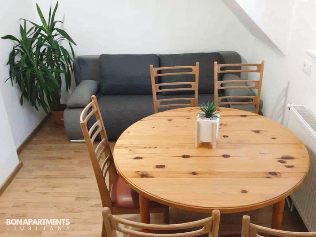 Huge BBQ Garden, Spacious Flat, AC, Free Parking 2 Liubliana Exterior foto